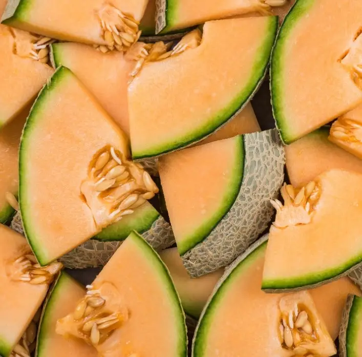 tranches de melon